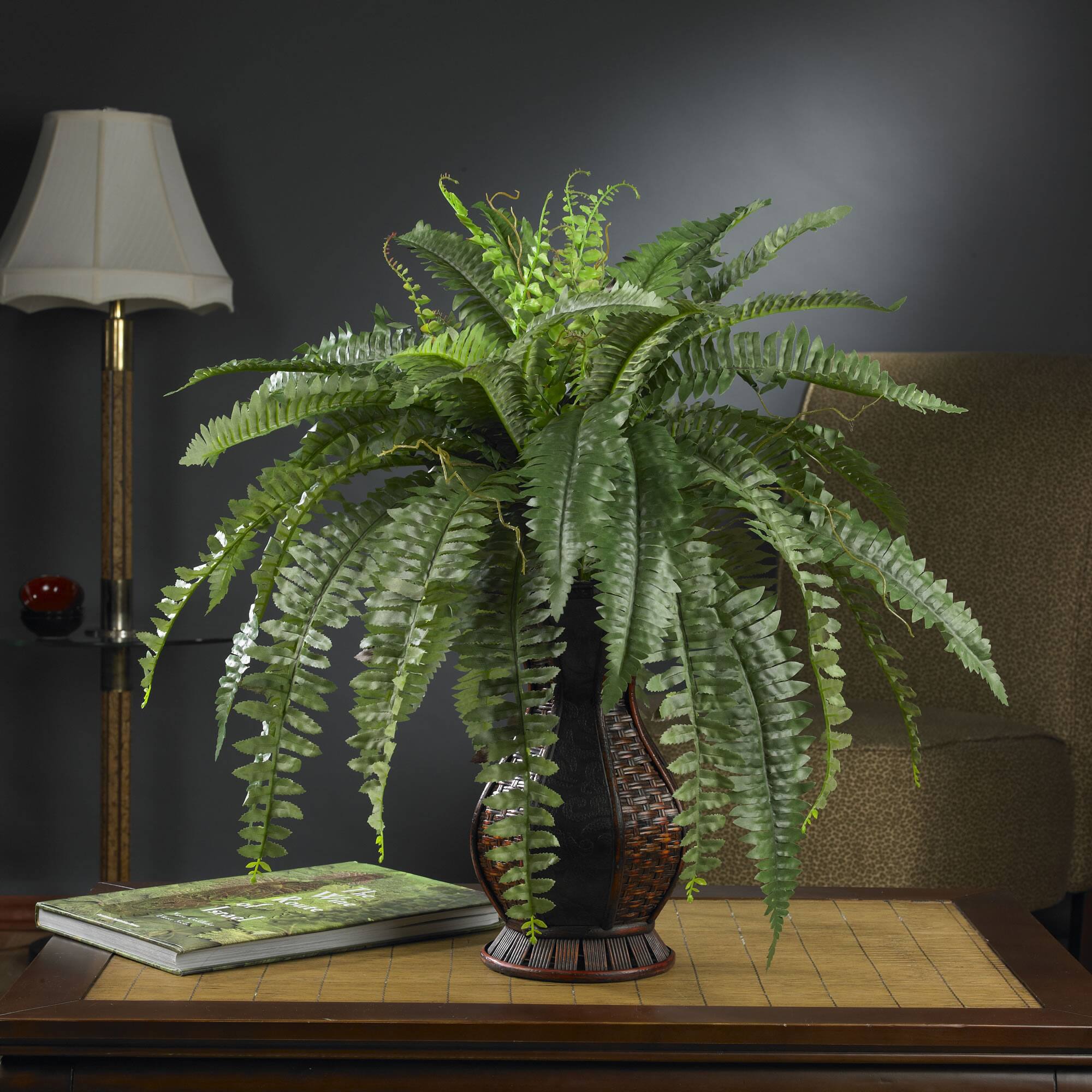 2.5.ft. Boston Fern In Decorative Brown Urn